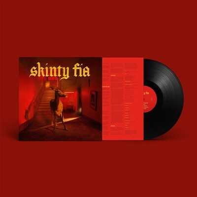 Fontaines D.C. Skinty Fia (Vinyl) 12'' Album