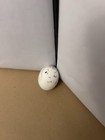 VTG preserved egg easter cutie pie with black hair with wink — photo 3