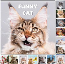 2026 Wall Calendar - Funny Cat Calendar 2026, 12" x 24" Open , Jan. 2026 - Dec.