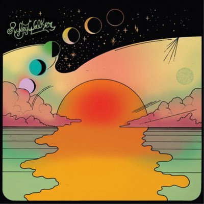 Ryley Walker Golden Sings That Have Been Sung (Schallplatte) 12'' Album