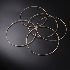 10 Pcs Metal Dreamcatcher Round Hoops for Craft Projects 16 cm