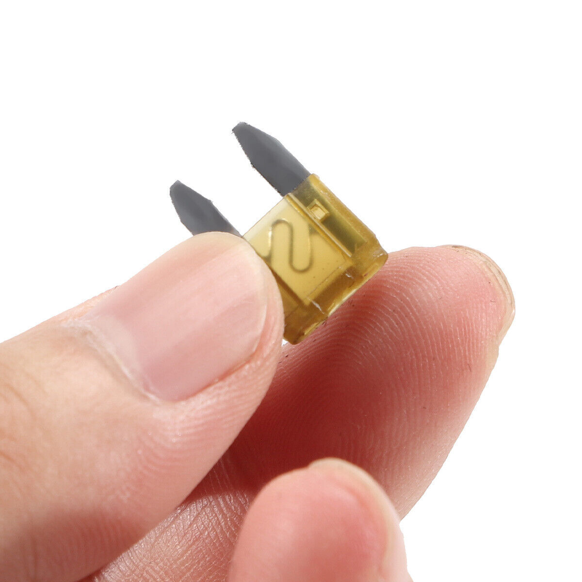 420Pcs Auto Blade Fuse Assortment Kit Set Car Truck Motorcycle Boat Fuses US