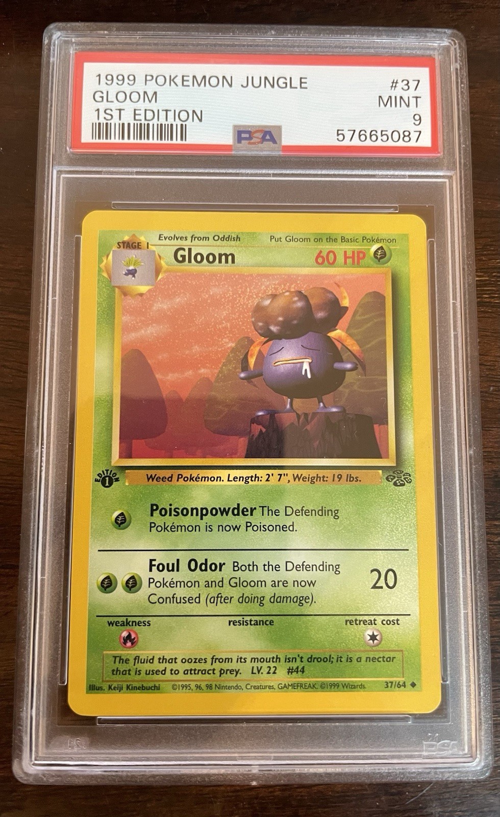 1999 Pokemon Jungle 1st Edition #37 Gloom  37/64 First Edition PSA 9 Mint