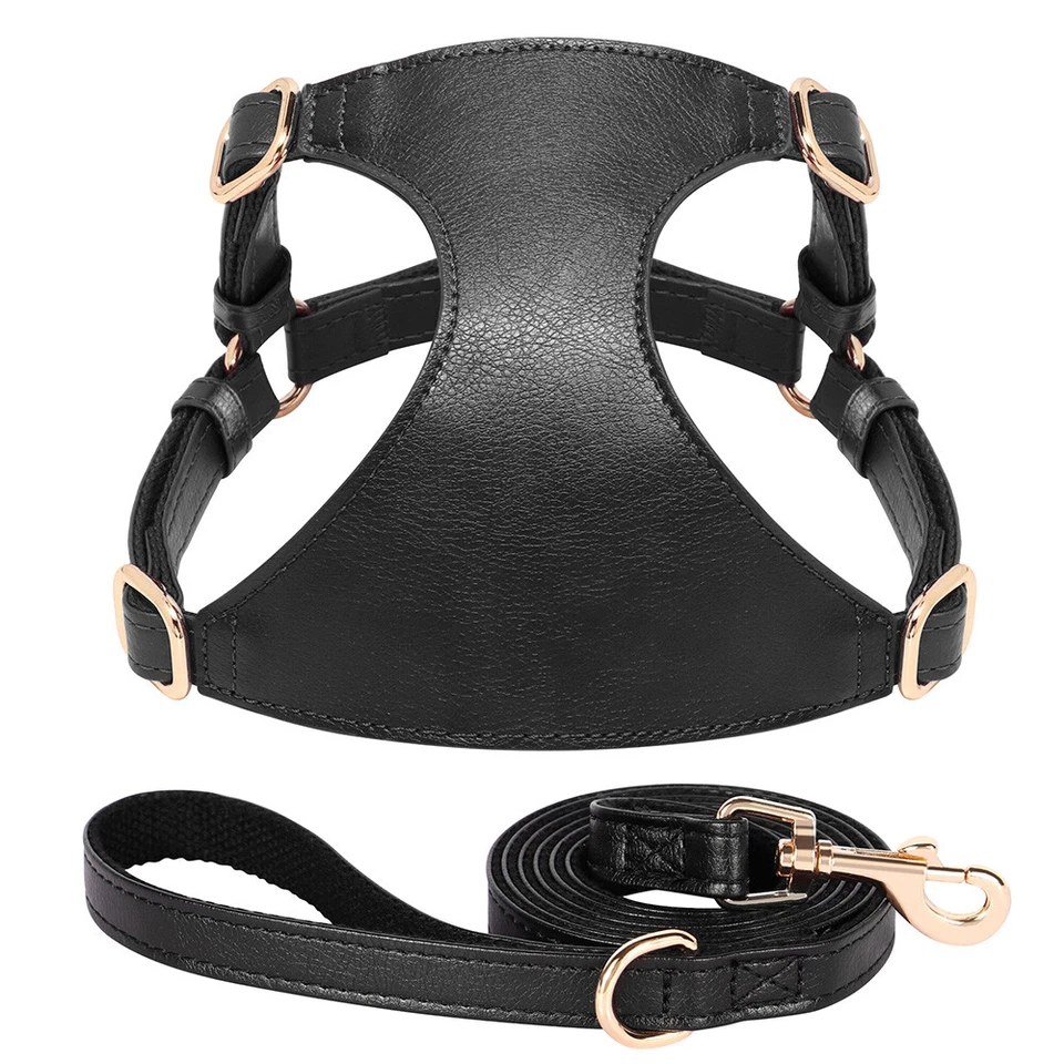 No Pull Leather Dog Harness and Leash set Puppy Walking Vest for French Bulldog - Image 3 of 4