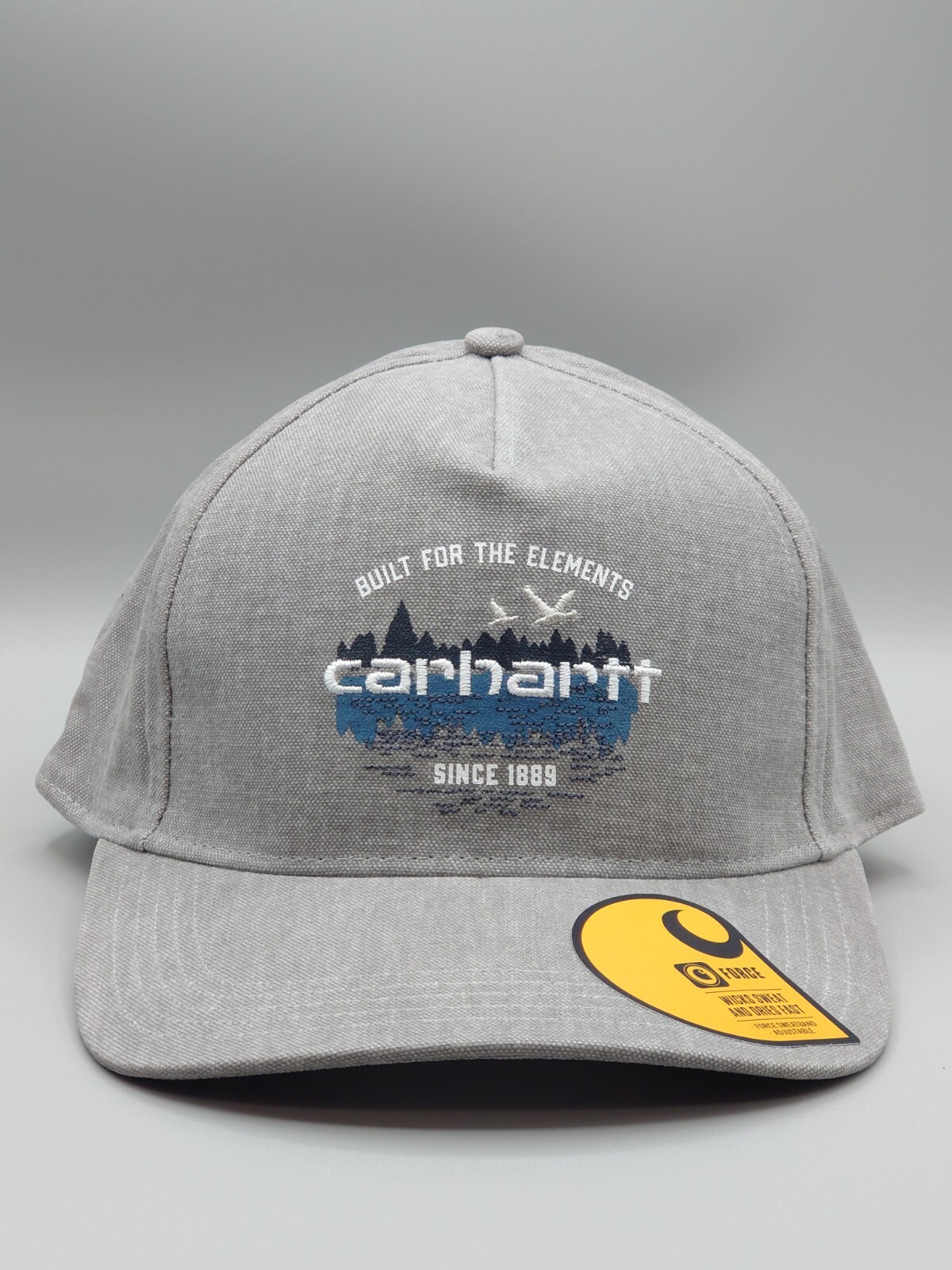 Carhartt Canvas Outdoor Graphic Cap OSFA Snapback Hat NEW