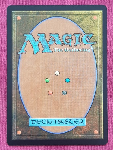 Magic The Gathering ADVENTURES IN FORGOTTEN REALMS FORSWORN PALADIN card MTG - Bild 2 von 2