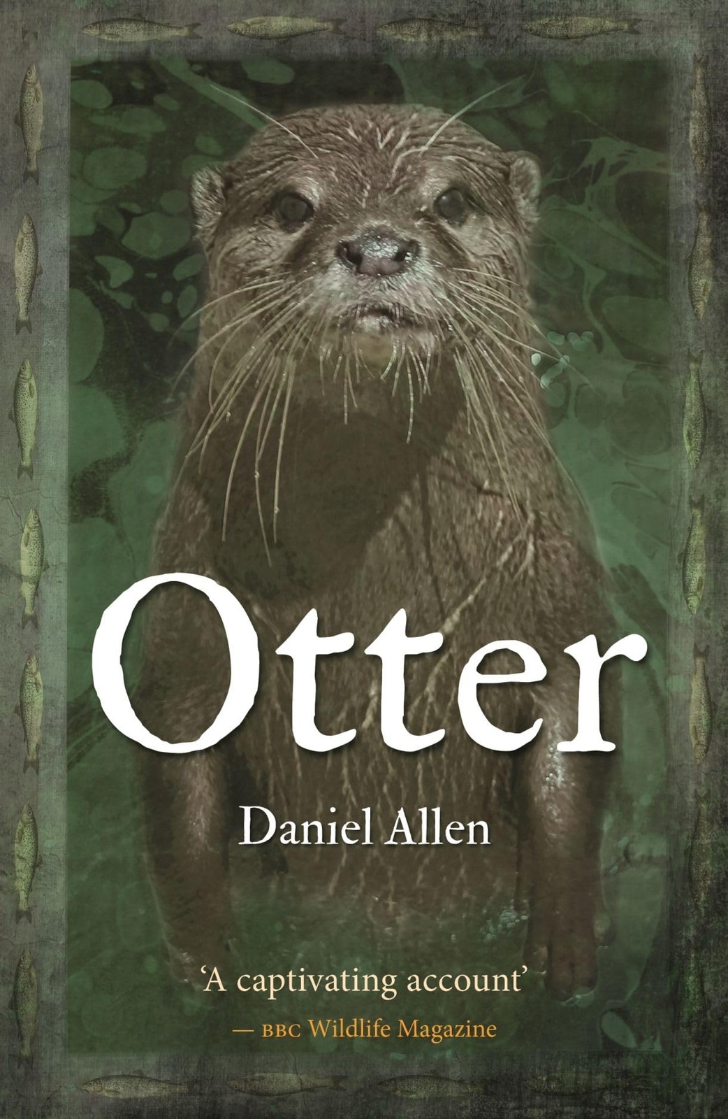 Otter,Daniel Allen