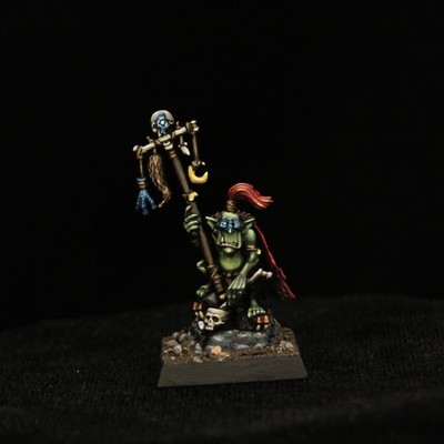 Pro Painted Warhammer Goblin Shaman The Old World AOS WHFB