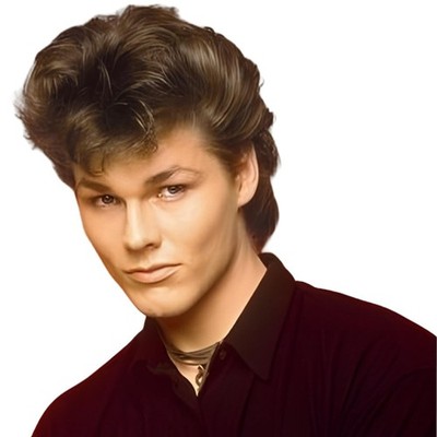 Men 80s Wig Short Brown Mullet Wigs,Disco Rocker Punk Synthetic Hair for Dail...