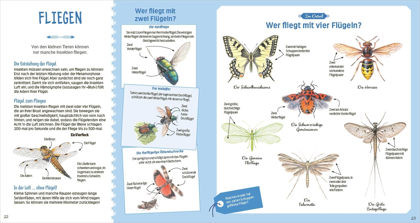 Thumbnail - Das Große Buch Der Kleinen Tiere | Nathalie Tordjman | Buch | 72 S. |