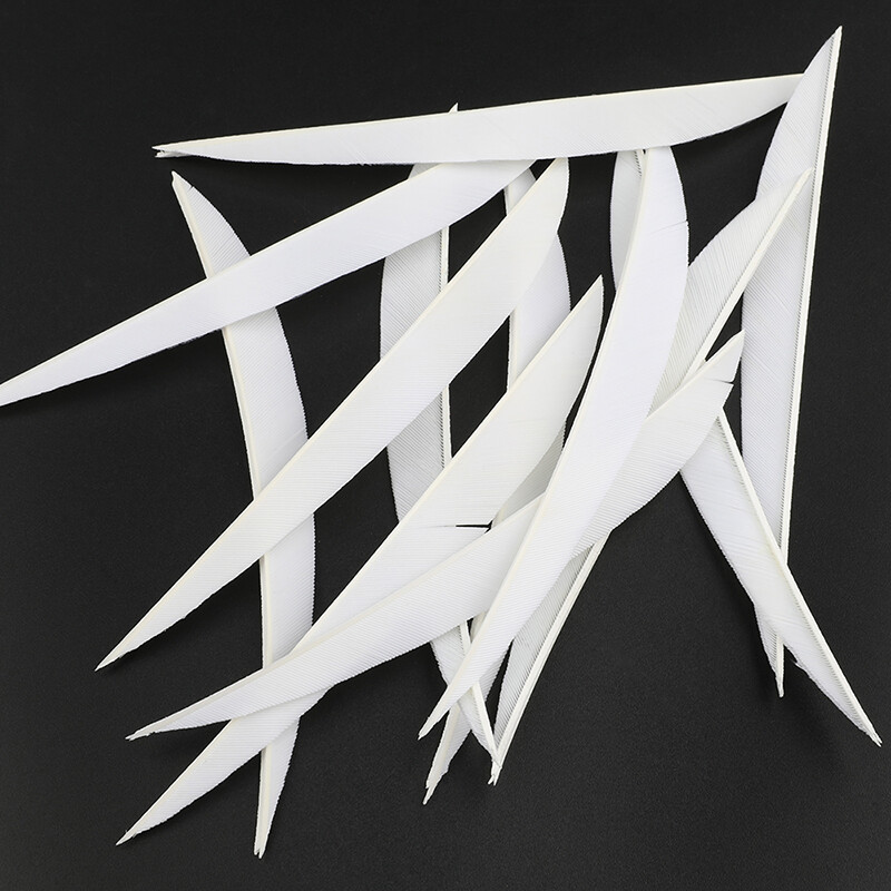 1.75 Inch Archery Arrows Vanes - Plastic Arrow Feather Fletching for A