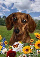 Dachshund SH Red Summer Fields Flag