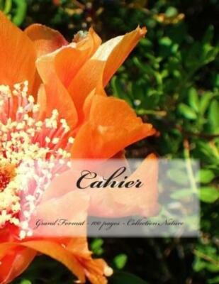 Cahier - Grand Format - 100 Pages - Collection Nature: Design Original 8