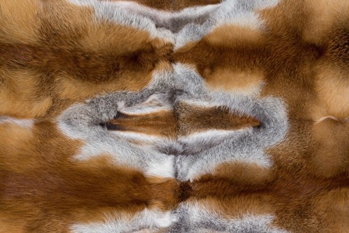 516 European Red Fox Fur Blanket - Pelt Cover Genuine Furs Throw Real Fur Cover - Picture 6 of 10