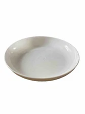 Lomey 9” Designer Dish - Flat Dish With 1” Lip. -12 Count