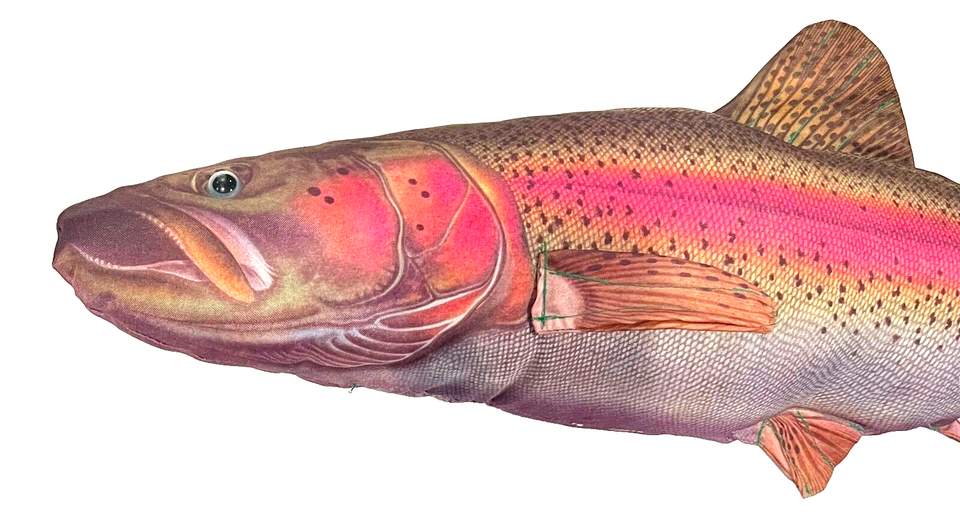 Lifelike Rainbow Trout Fish Plush Stuffed Animal Pillow 27” Long eBay