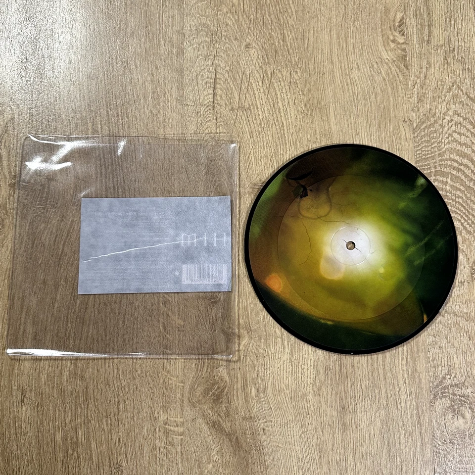 HIM Killing Loneliness 7” Vinyl Record Picture Disc 2007 Part 1 - Bild 4 von 4