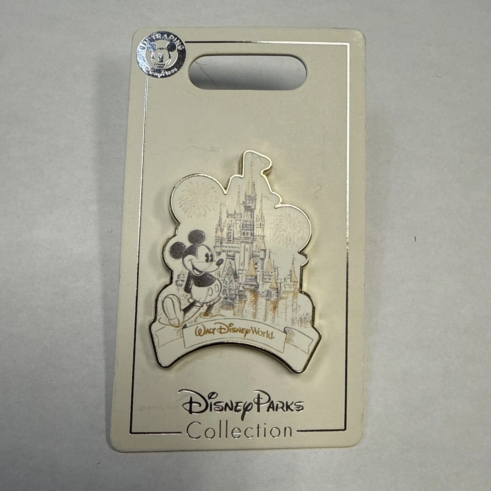 Disney world Pin