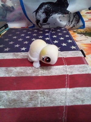 Crayola Scribbles Turtle