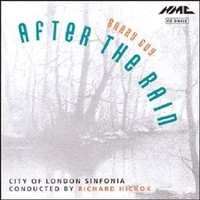 Barry Guy - After The Rain - Cd - 89 - F4Z