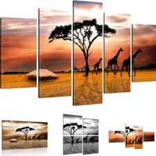 Bilder Savanne in Afrika Bild auf Leinwand Giraffen Wandbild Landschaft Kunstdru