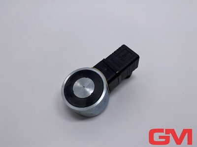 MAGNET-SCHULTZ Haftmagnet GMHX 050 X20 D07 214V holding magnet + GDML 2016 GB 1