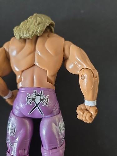 2005 WWE Jakks Pacific Hunter Hearst Helmsley Triple H Action Figure - Picture 10 of 12