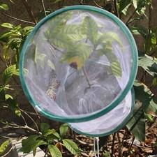 Ornamental Cage Butterfly Habitat Breathable Foldable for