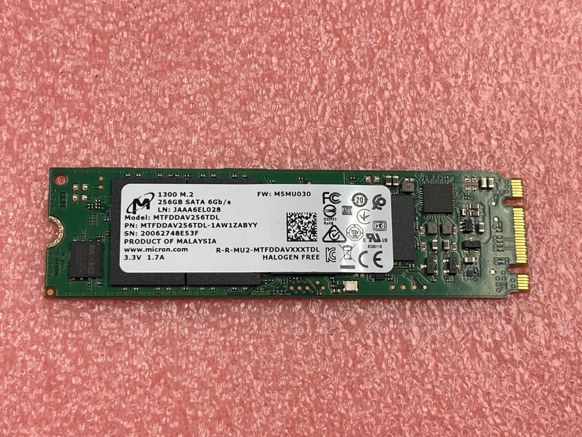 Micron 1300 Series MTFDDAV256TDL 256GB SATA 6Gb/s M.2 SSD | eBay