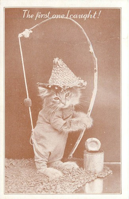 #ad Frees Animal Series Postcard Dressed Tabby Kitten Hooks Own Pants While Fishing $11.87