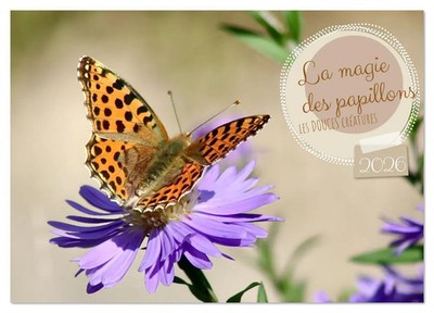 LA MAGIE DES PAPILLONS (Calendrier mural 2026 DIN A3 vertical), CALVENDO...
