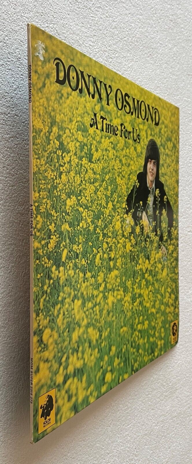 Bild 4 von 6
