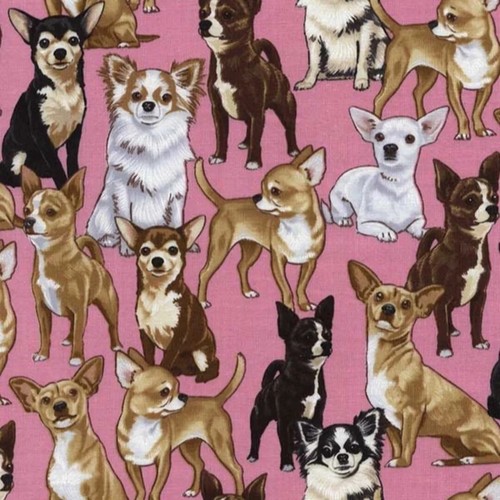 3 Yards Quilt Cotton Fabric - Timeless Treasures Dog Chihuahuas on Pink