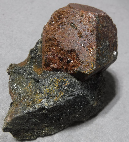 Large Almandine Garnet on Schist matrix Sedalia Copper Mine Chaffee Co. Colorado