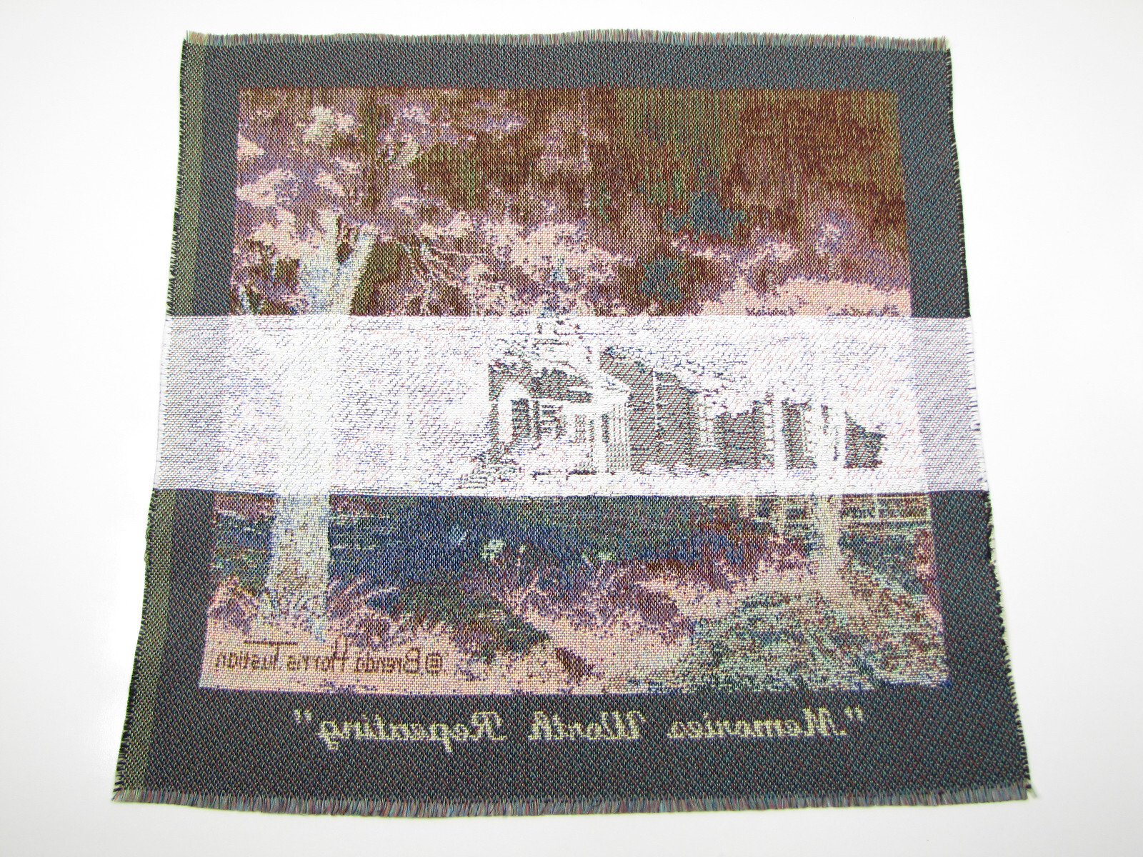 Picture 3 of 4