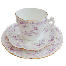 Wileman Foley Teacup Trio in the Lily Shape