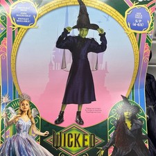 Wicked Girls Elphaba Costume Dress Hat NEW Small 4-6X Disguise Dress Up