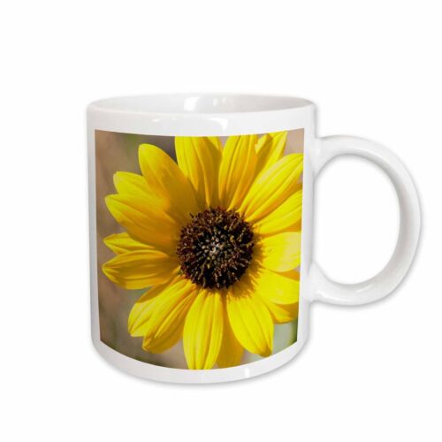 3dRose USA, Kansas. sunflower Mug - Afbeelding 1 van 14