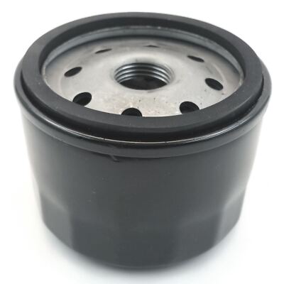 Filtro Aria Motore Briggs&Stratton A 2 Cilindri E Valvole Laterali Orizzontali V Twin Vanguard Bs 394018s - Foto 6