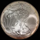 2008 American Silver Eagle $1 Dollar Gem Brilliant Uncirculated Toned. Jrrc-004