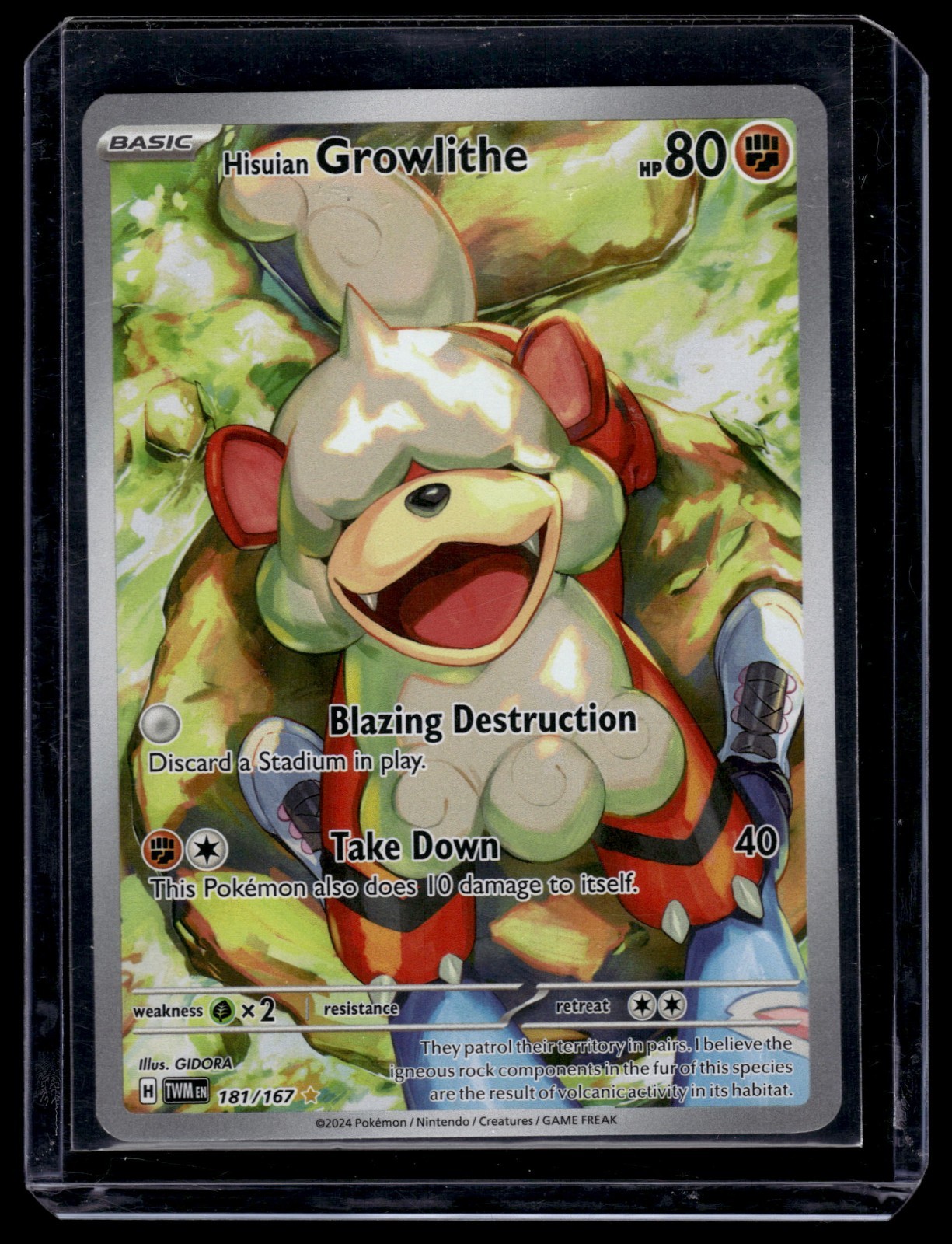 Hisuian Growlithe 181/167 Sv06: Twilight Masquerade Holo nm