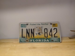 Vintage Florida 1999 Protect The Panther Wildlife Specialty License Plate Lnn842