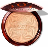 Aufhellendes Puder Terracotta (Luminizer) 7 G - Farbton: 00 Cool Ivory