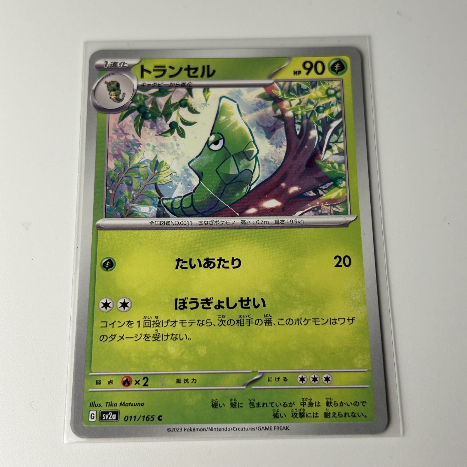 Metapod 011/165 Sv2a: Pokemon Card 151 Regular (Japanese) Near Mint