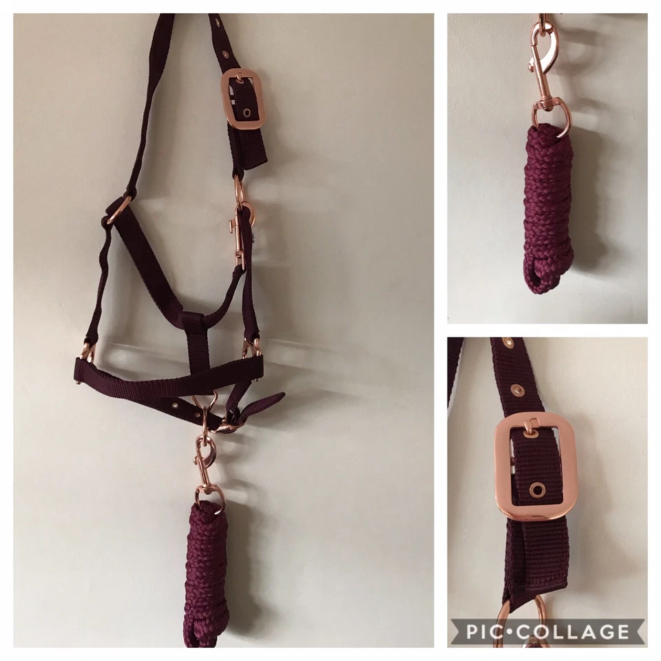 Headcollar and Lead Rope Set, Rose Gold & Burgundy, COB, FREE UK Postage - Image 2 of 4