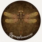 Hayleybug 1 oz Steampunk Dragonfly Brigid Ashwood silver Round POP of 15
