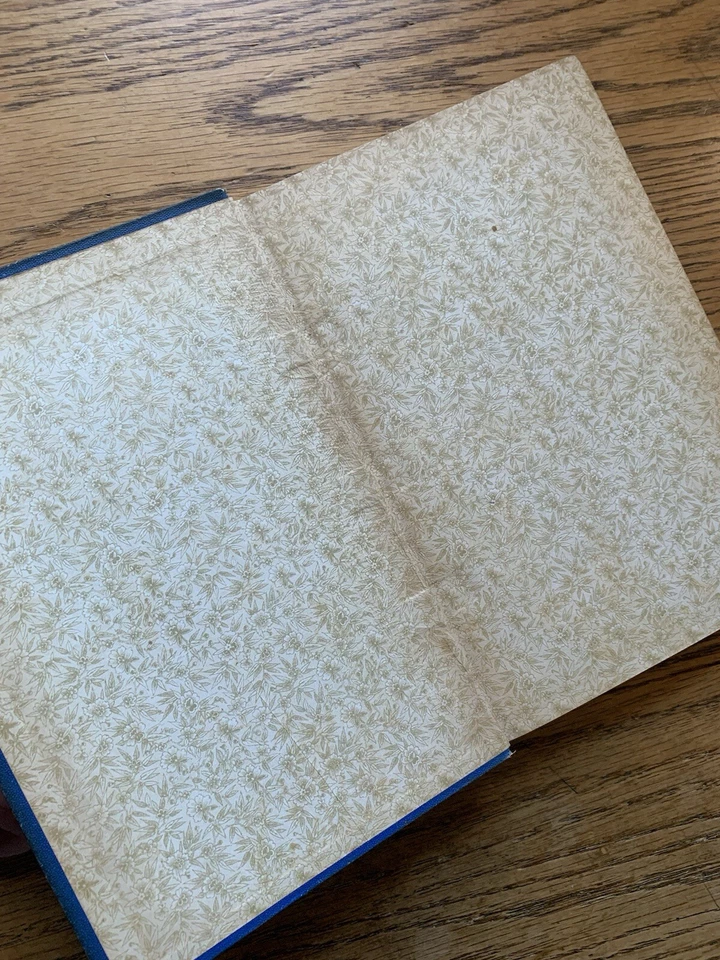 The Blue Firedrake (Thomas Wright - 1892 First Edition) Simpkin Marshall - Image 2 of 4