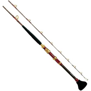 electric rod and reel