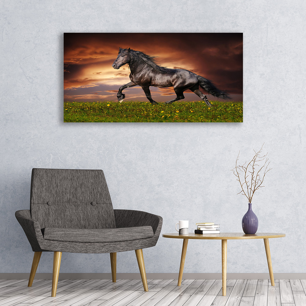 Tableau acrylique cheval noir impression panoramique plexiglas 120x60