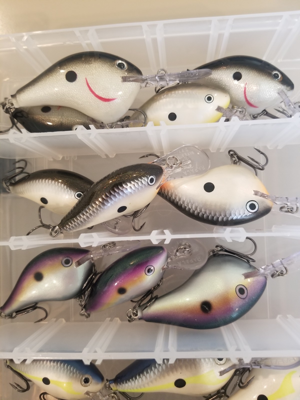 Huge Collection of Rapala DT Crankbaits - Various Sizes and the Best Colors! - Image 7
